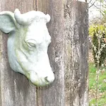 Wildwestruurlo Ruurlo