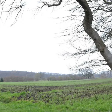 Wildwestruurlo Holiday home Ruurlo