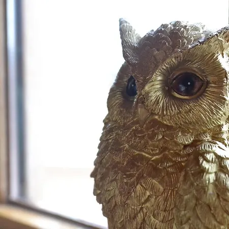 Wildwestruurlo Holiday home *