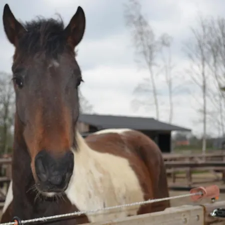 別荘 Wildwestruurlo