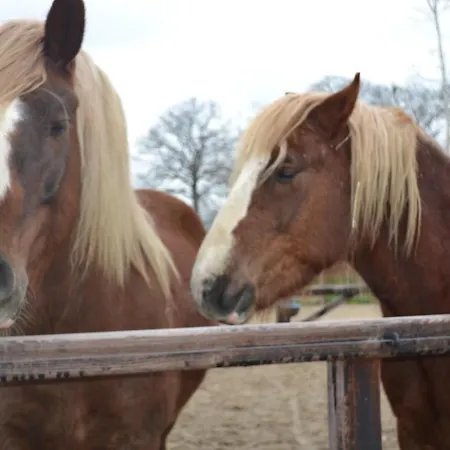 Holiday home Wildwestruurlo *