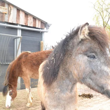 Holiday home Wildwestruurlo