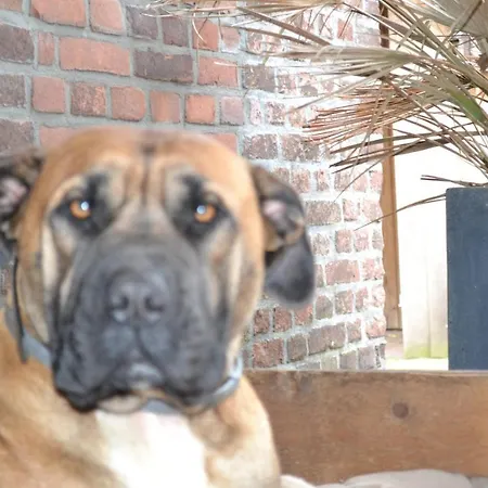 Holiday home Wildwestruurlo