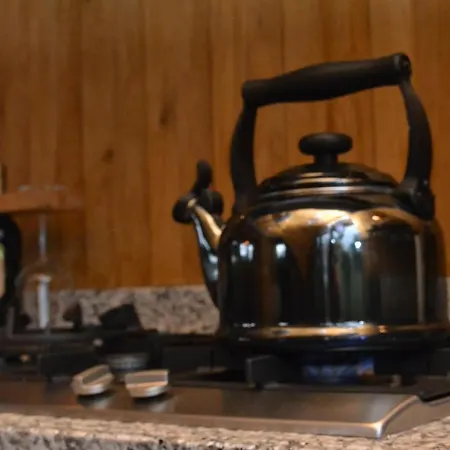 Holiday home Wildwestruurlo Ruurlo