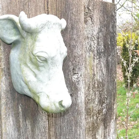 Wildwestruurlo Ruurlo