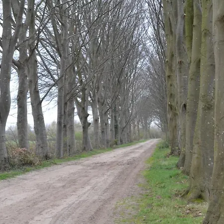 Wildwestruurlo Ruurlo