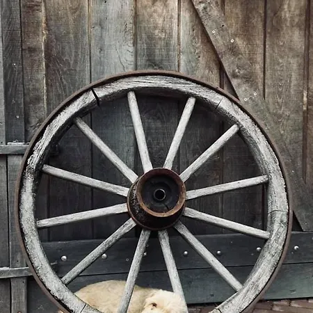 Wildwestruurlo