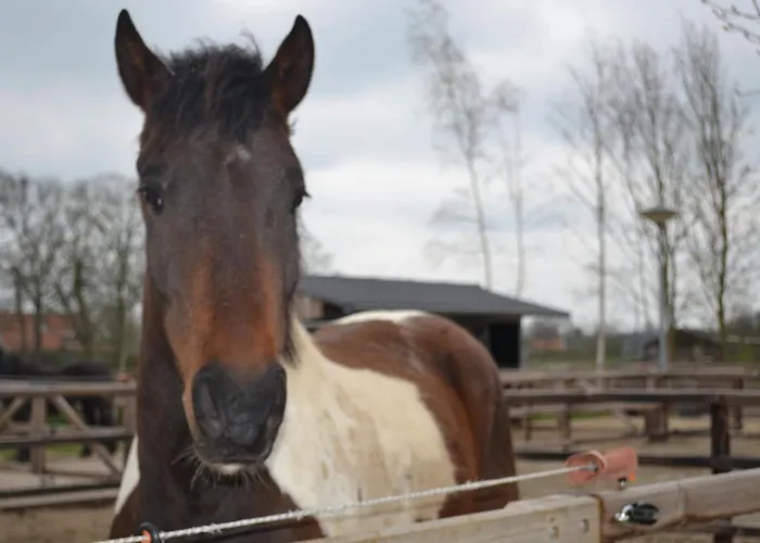 Дом отдыха Wildwestruurlo