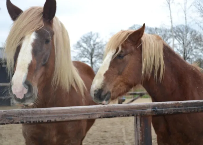 Semesterbostad Wildwestruurlo *