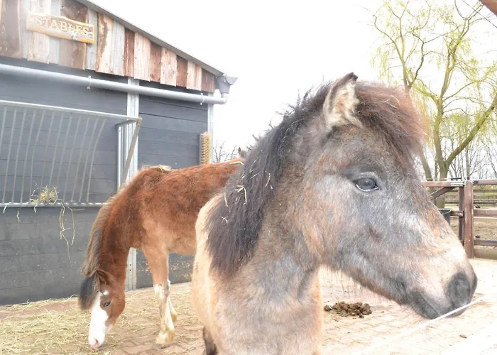 Semesterbostad Wildwestruurlo