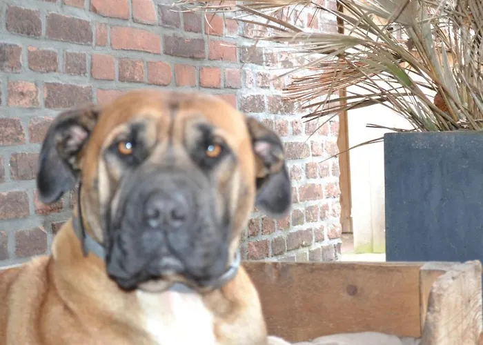 Holiday home Wildwestruurlo