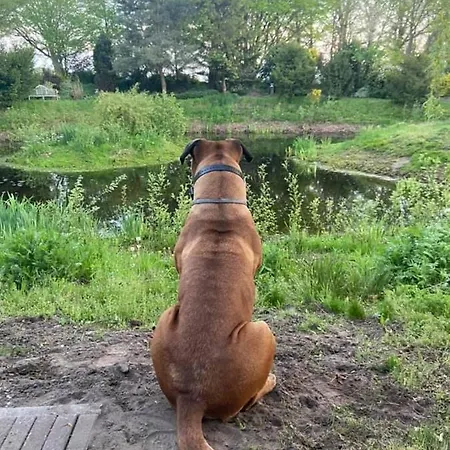 Wildwestruurlo Vakantiehuis *