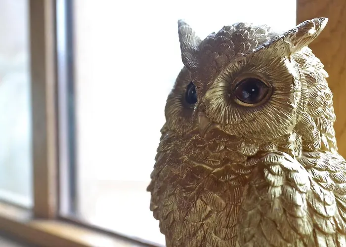 Wildwestruurlo بيت للعطل *