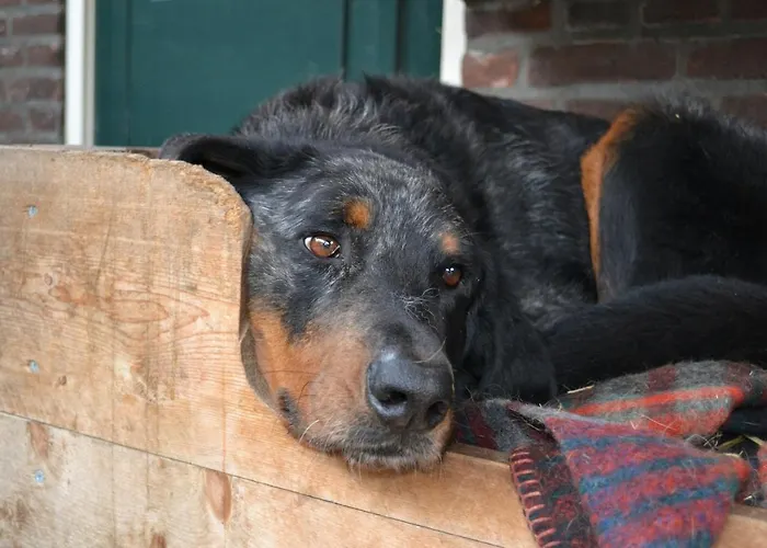 بيت للعطل Wildwestruurlo رورلو