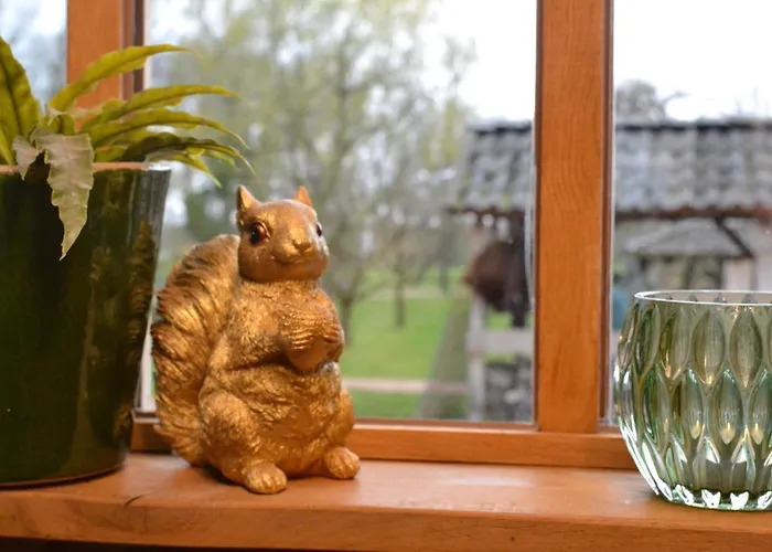 Wildwestruurlo رورلو