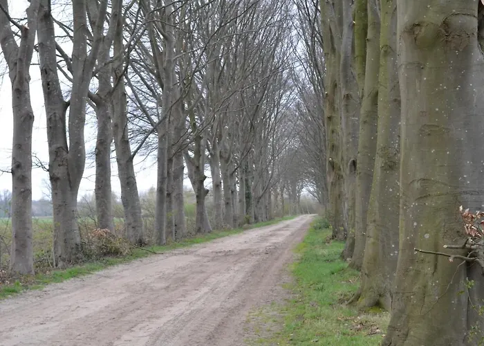 Wildwestruurlo رورلو