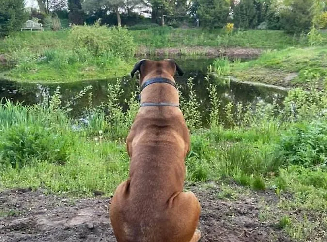 Wildwestruurlo بيت للعطل *